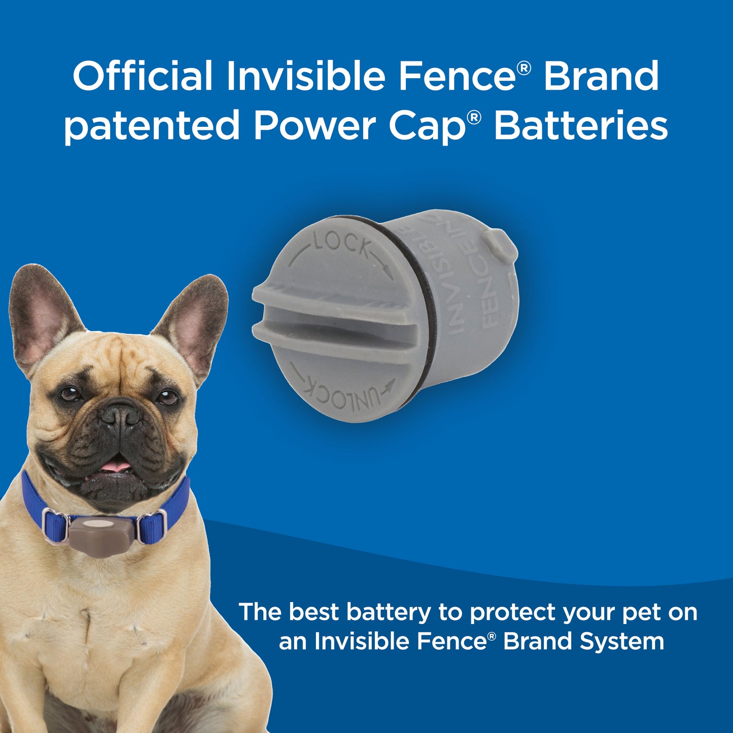 Card with text: official invisible fence brand patented power cap batteries. The best battery to protect your pet on an invisible fence brand system