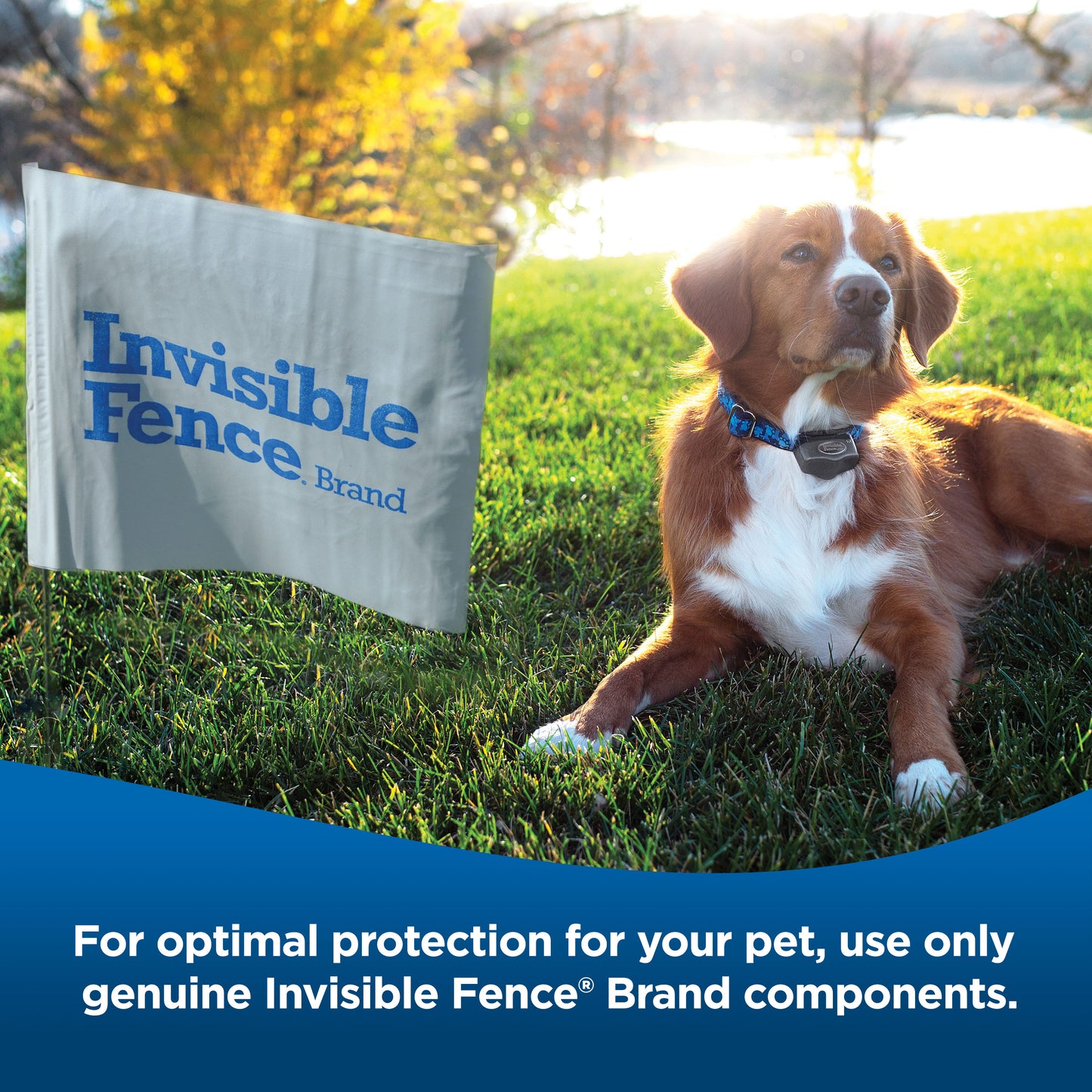 Invisible fence boundary flag with dog in background. Text on image: for optimal protection for your pet, use only genuine Invisible Fence Brand components