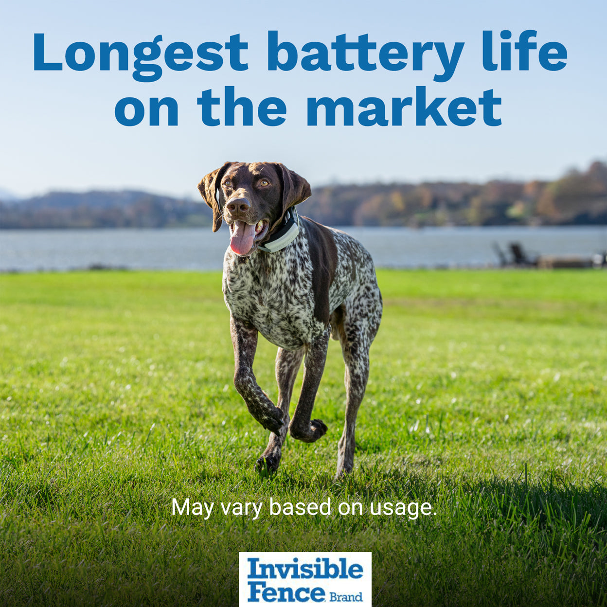 Dog running in yard. Text on image: Longest Battery Life on the Market