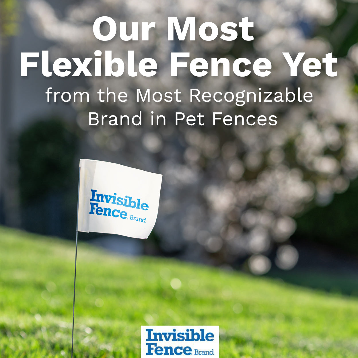 Flex™ Fence GPS Dog Collar