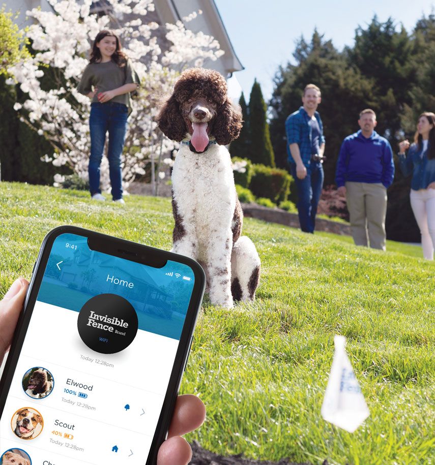 Boundary Plus Smart® Fence Package