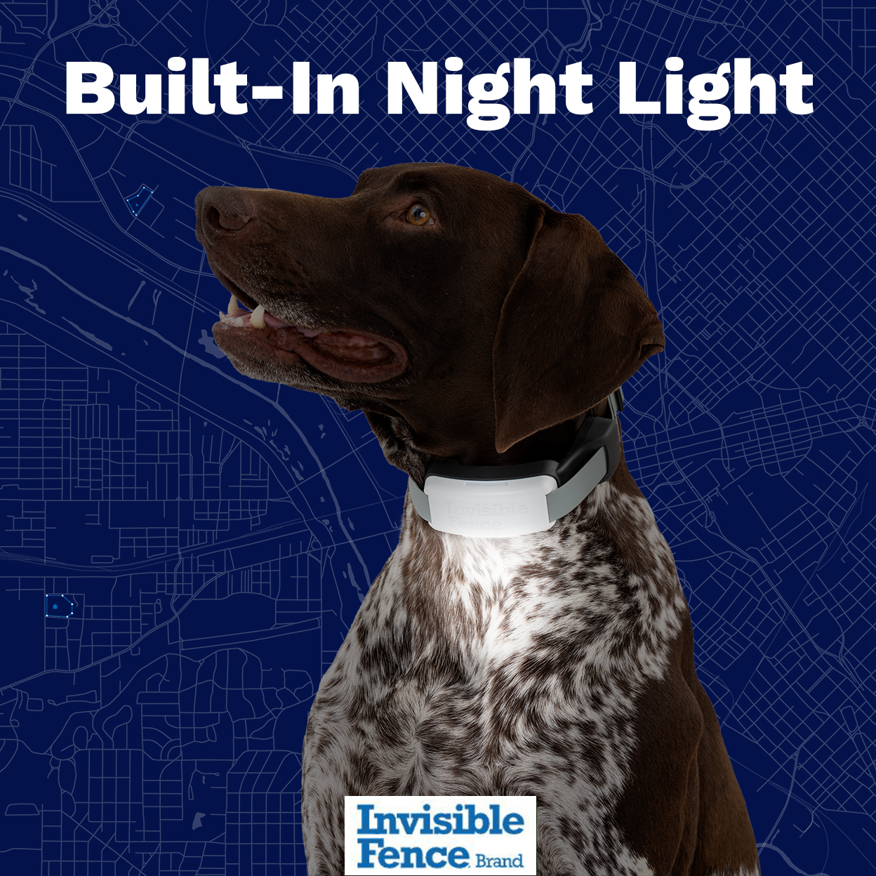 Dog wearing gps wireless dog fence collar with night light turned on. Text on image: Built-In Night Light