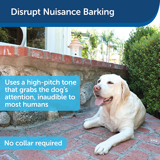 Deluxe Outdoor Bark Deterrent