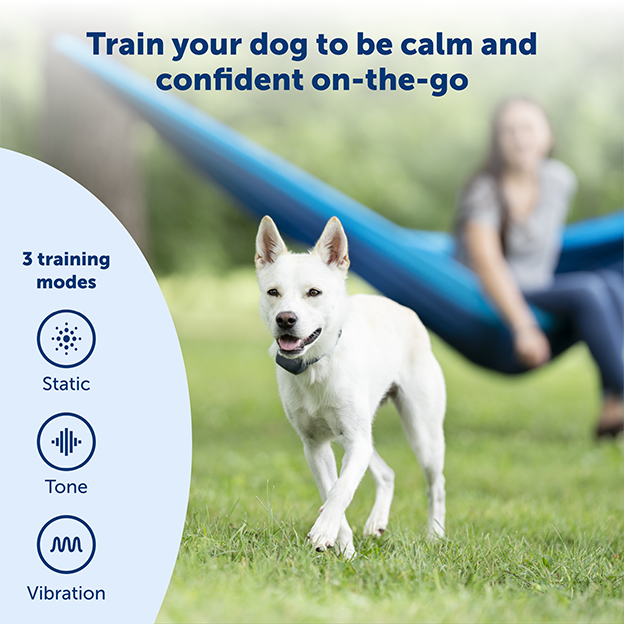 Train your dog to be calm and confident on-the-go. Three training modes: static, tone, vibration
