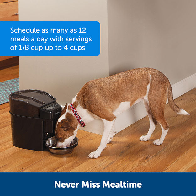 Dog eating from automatic dog feeder with text on image: Schedule as many as 12 meals a day with servings of 1/8 cup up to 4 cups. Never miss mealtime.