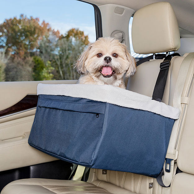 Dog sitting inside installed booster seat