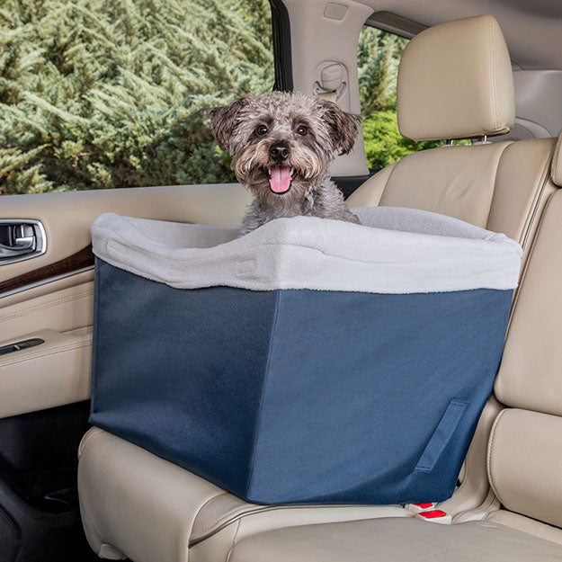 Dog sitting in safety booster seat in car
