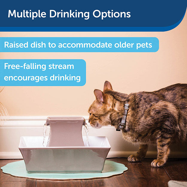 Cat drinking from water fountain with multiple drinking options including a raised dish to accommodate older pets and free-falling stream that encourages drinking.