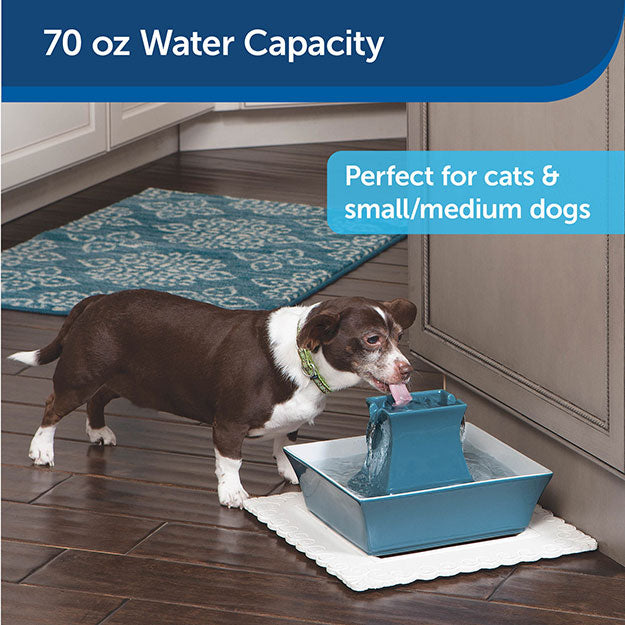 Small dog drinking from water fountain with 70 oz water capacity. Perfect for small/medium dogs.