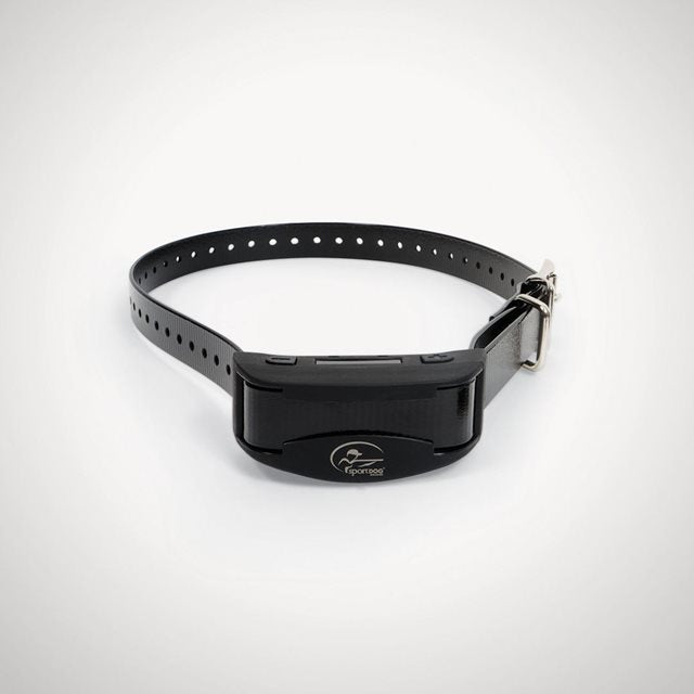 No bark collar
