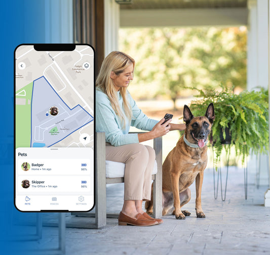Invisible Fence® GPS Pro Subscription