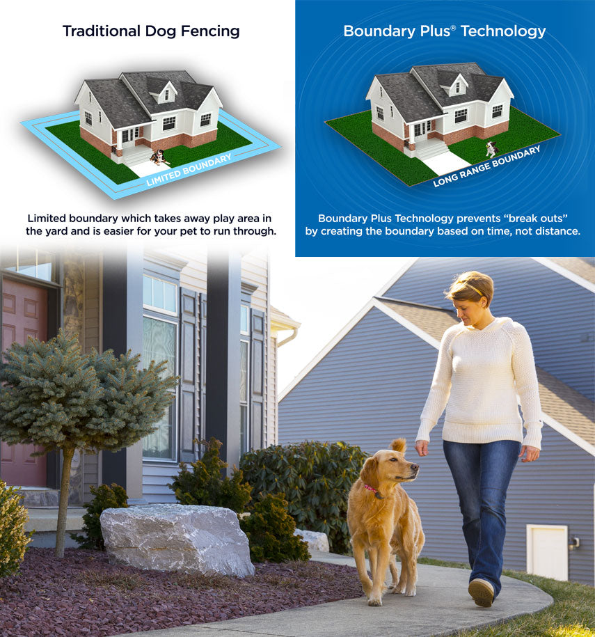 Invisible Fence® Premium Package