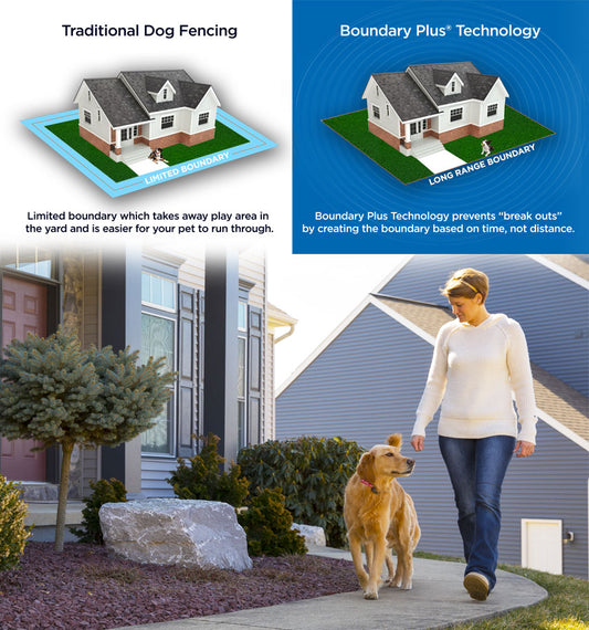 Invisible Fence® Premium Package