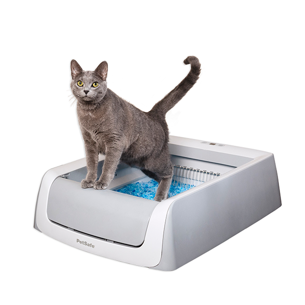 Cat leaving ScoopFree® Self-Cleaning Litter Box, Second Generation