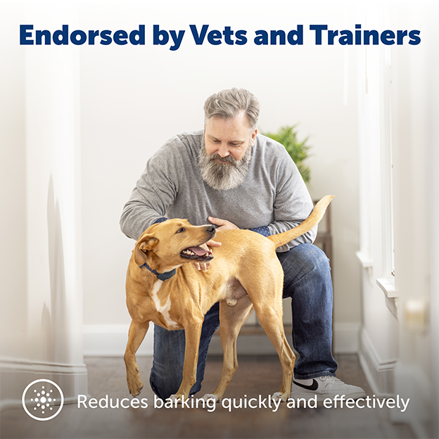 Man petting dog inside. Text on image: Endorsed by vets and trainers. Reduces barking quickly and effectively.