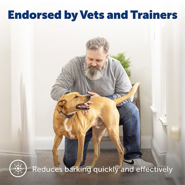 Dog with owner sitting inside near window. Text on image: Endorsed by vets and trainers. Reduces barking quickly and effectively.