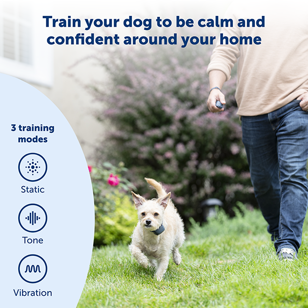 Man holding remote with dog in yard wearing training collar. Text on image: Train your dog to be calm and confident around your home. 3 Training modes: static, tone, vibration. 