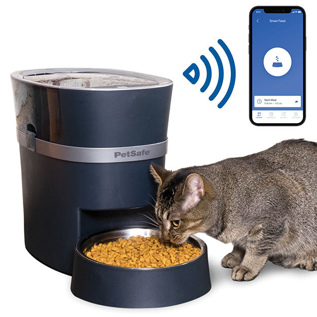 Cat eating from automatic cat feeder with graphic display of data being sent to app. 
